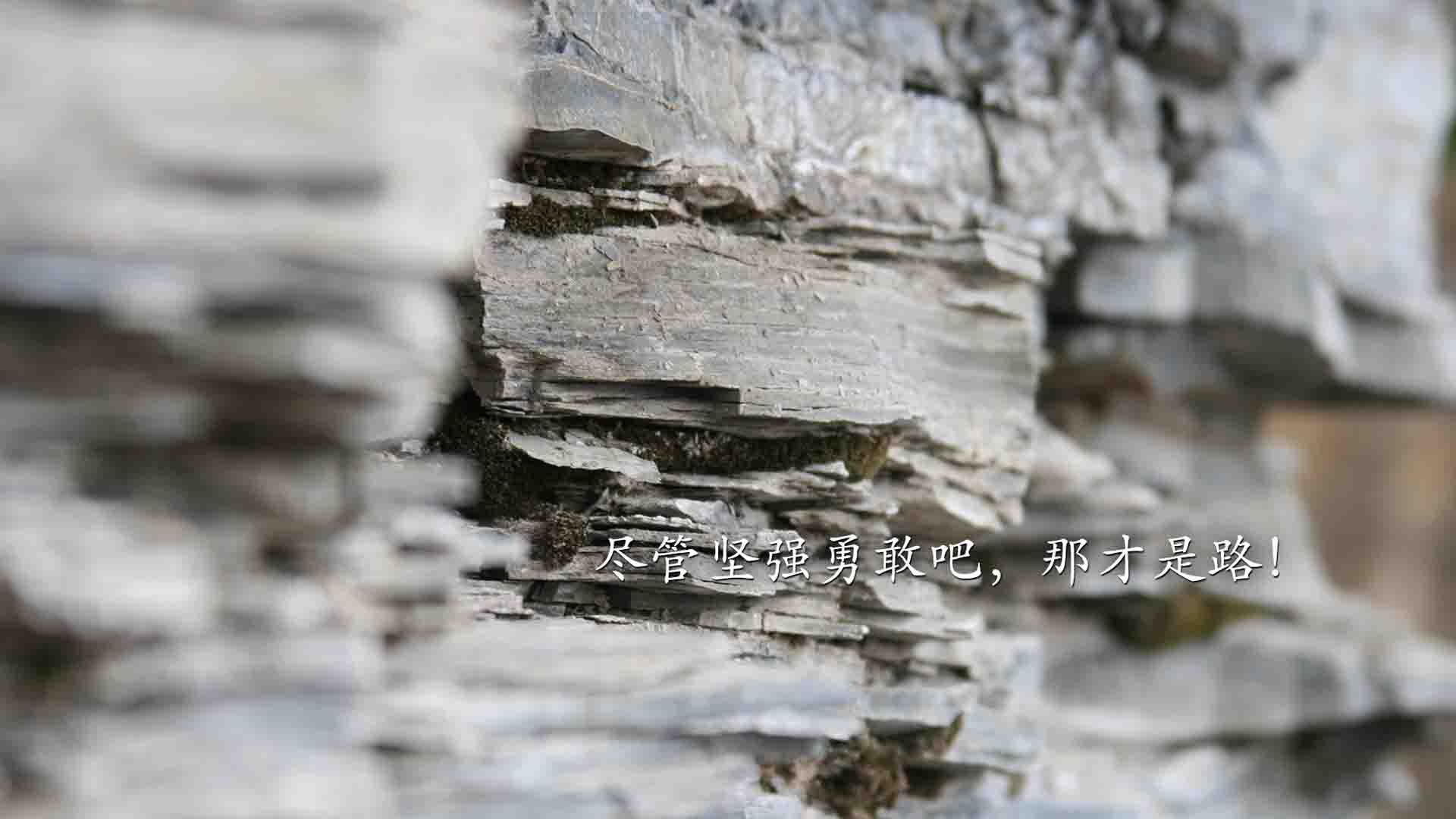 博卡小将初露头角，表现积极，博卡坦百度百科